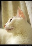 DSC066661
