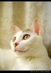 DSC066681