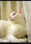 DSC066691