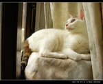 DSC066731