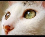 DSC066851