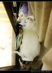 DSC066921