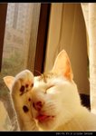 DSC067191