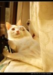 DSC067401