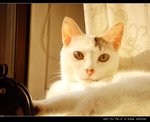 DSC067481