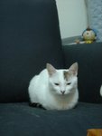 DSC03799