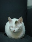 DSC03800