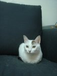 DSC03803