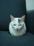 DSC03804