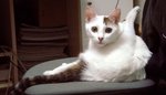 DSC038591