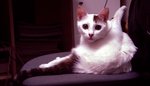 DSC038592