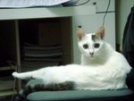 DSC03861