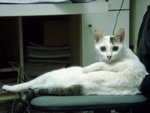 DSC03865