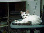 DSC03867