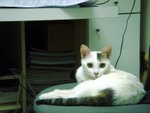 DSC03870