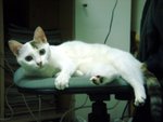 DSC03872