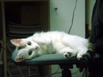DSC03873