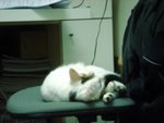 DSC03878