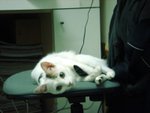 DSC03879