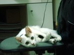 DSC03880