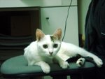 DSC03891