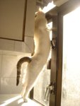 DSC04038