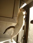 DSC04040