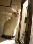 DSC04042