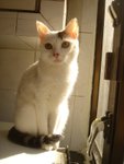 DSC04043
