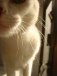 DSC04044