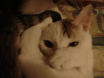 DSC04107