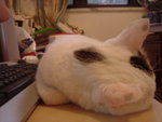 DSC01856