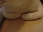 DSC01861