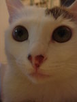 DSC01865
