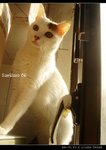 DSC035391