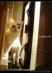 DSC035451