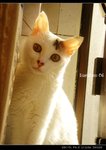 DSC035481