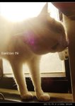 DSC035531