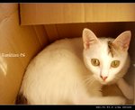 DSC035571