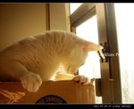 DSC035621