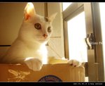 DSC035632