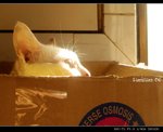 DSC035641