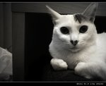DSC005851