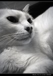 DSC005861