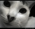 DSC005891