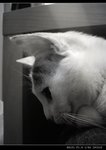 DSC005901
