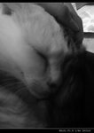 DSC007171
