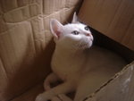 DSC01067