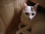 DSC01071