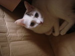 DSC01076